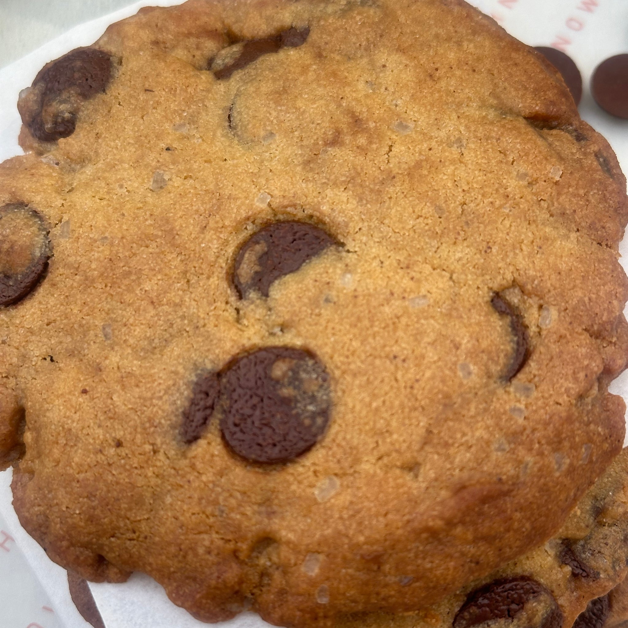 Giant Chocolate Chip Cookie